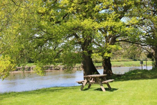 Camping Des 2 Rives- Chambres Etang-sur-Arroux 外观 照片
